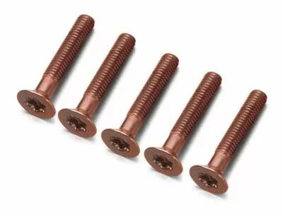 Pack (5 un) Torx vis cuivre M3,5x12 de la collection Do de Fontini (33969312)