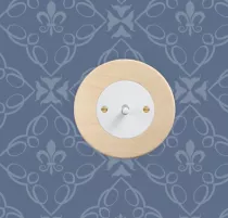 Plaque 1 poste, bois-érable (DSR 00-00-0-00-1-1-23)