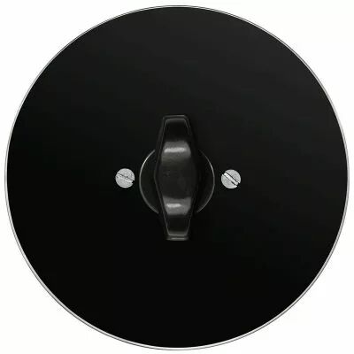 Plaque 1 poste en verre noir pour interrupteur rotatif + contr�leur BTA noir (DSR 00-00-2-02-1-1-31)