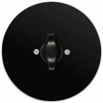 Plaque 1 poste en verre noir pour interrupteur rotatif + contrôleur BTA noir (DSR 00-00-2-02-1-1-31)