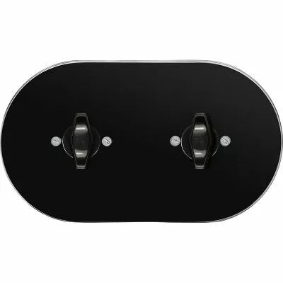 Plaque 2 postes en verre noir pour interrupteurs rotatifs + contr�leur BTA noir (DSR 00-00-2-02-1-2-31)