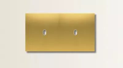 Plaque de finition double en laiton dor� bross� mat pour m�canismes � leviers - Font Barcelona 5.1, BRIDGE
