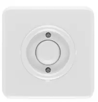 Plaque de finition simple bakelite/duroplaste blanche thpg119330 + interupteur va-et-vient thpg176429
