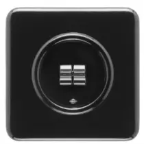 Plaque de finition simple bakelite noire thpg119328 + interrupteur va-et-vient double thpg100571
