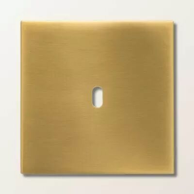 Plaque de finition simple en laiton dor� satin� pour m�canismes � leviers - Font Barcelona 5.1, BRIDGE