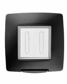 Plaque �tanche standard international - 2 modules ip55 - blanc - chorus