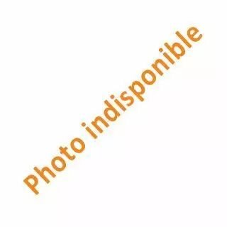 PLAQUE GEO 4P IVOIRE