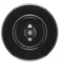 Plaque simple bakelite noire thpg173063, interrupteur rotatif thpg186883
