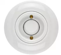 Plaque simple porcelaine hors tel- tv - rj45 - enceintes (173085)