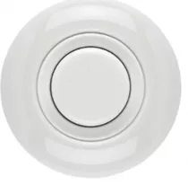 Plaque simple porcelaine hors tel- tv - rj45 - enceintes (173085)