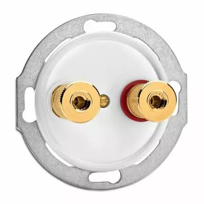 Prise haut parleur WBT Bakelite blanche (100739)