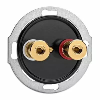 Prise haut parleur WBT bakelite noire (100737)