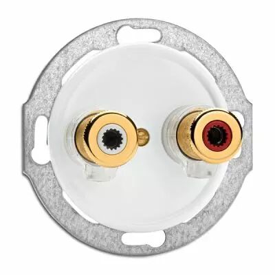 Prise haut parleur WBT NEXT GEN bakelite blanche pour cache en verre (100691)