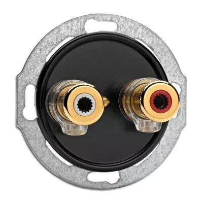 Prise haut parleur WBT NEXT GEN bakelite noire (100738)