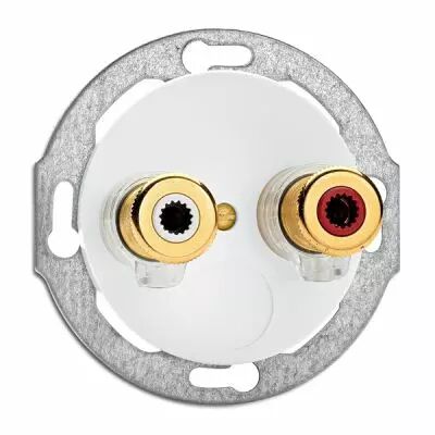 Prise haut parleur WBT NEXT GEN Porcelaine blanche (100742)