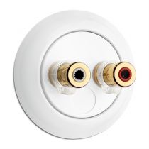Prise haut parleur WBT NEXT GEN Porcelaine blanche (100742)