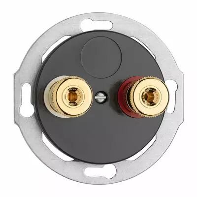 Prise haut-parleur WBT THPG Porcelaine noire (174039)