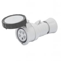 Prise mobile droite protégée  IP67 2P+T 16A 500V 7H (GW62735H)