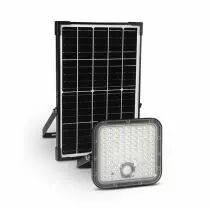 SEDUM APPLIQUE SOLAIRE 30W 3CCT ASYM DETECT IR 3ANS (100752)