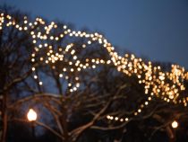 Shimmerlight LED - 34 m - 1500 lampes blanc arizona - fil vert - modulateur - 24 V (SHM-LED-34-1500-24V-AW)
