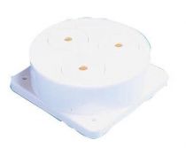 Sirene 12v piezo 2 tons blanc