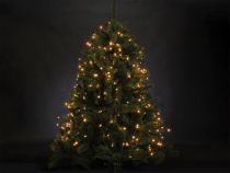Sparkle Light LED - 12 m - 160 lampes blanc arizona - fil vert - modulateur (SP-LED-12-160-24V-AW)