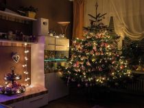 Sparkle Light LED - 16 m - 240 lampes blanc chaud - fil vert - modulateur (SP-LED-16-240-24V-UW)