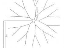 Speed Light LED - Steady - 280 lampes blanc chaud - fil vert - 24 V (pour arbre de 210 cm) (SPL-LED-STEADY-280-24V-UW)