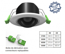 SPOT ORIENTABLE ENCASTRABLE MULTI-PUISSANCE 4/6 W SPECTRA (100860)