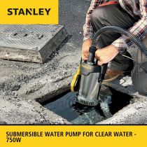 Stanley - Pompe Immergée - Acier Inoxydable - Eau Claire - 750 W (STN-P750SS)
