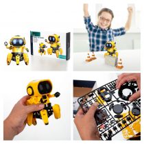 Tobbie Le Robot (KSR18)