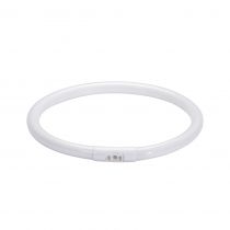 Tube circulaire t5 22w 2gx13 (88448)