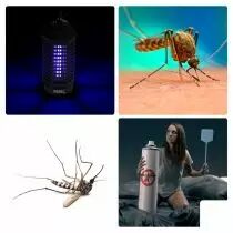 Tue-Insectes &Eacute;lectrique - 6.5 W (GIK06N)