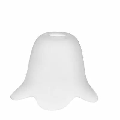 Tulipe pour lustres, Tulipe bouton - 5 p�tales -Verre satin�, longueur 100 mm (744624)